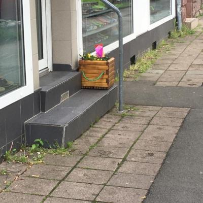 B5b42470 26b0 46a8 8cec C74e5e702a6e